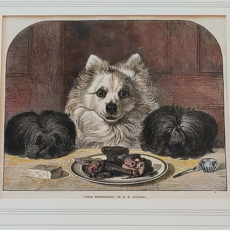 1873 Great Expectations Dogs Engraving 16″x17.5″ Horatio H. Couldery Pomeranian