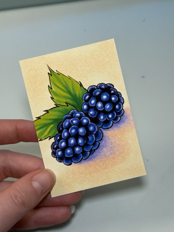 ACEO Art PRINT “Blackberries” Mini Collectible Art 2.5 x 3.5 Inches gallery