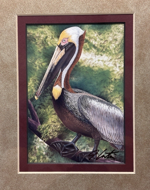 Original Signed "Brown Pelican" Fine Art Print, John Costin, Rare Decor Gifts gallery