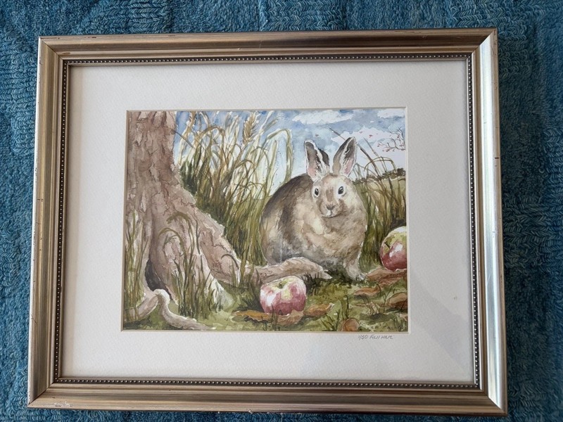Hillary Carr Original Water Color Bunny in Nature Framed Art Signed 1/50