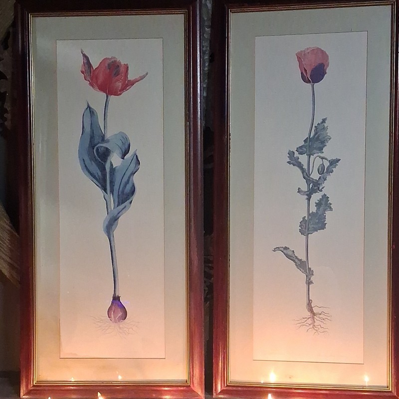 Framed Floral Art Prints Set of 2, Portrait Flowers Nature Print