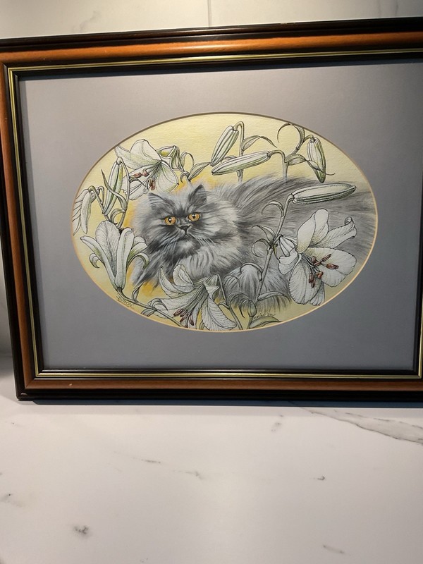 Cat On Lillies Unsigned Print , 21 X 17 Inches , Framed With Hanging Rope .