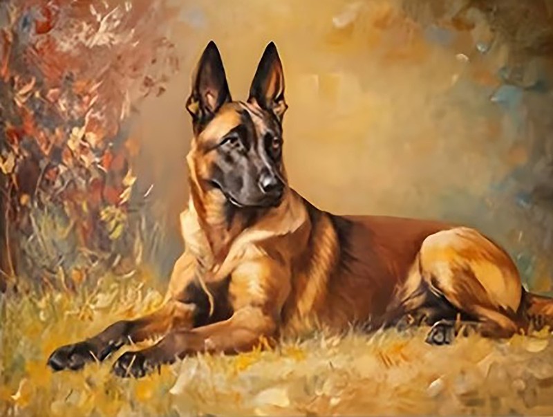 Belgian Mallinois Dog Animal Painting Print Unframed Canvas Wall Art 30 x 40cm