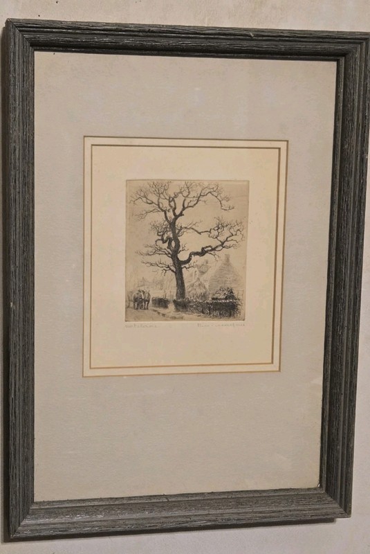 Belgian Etching By Romain Malfliet Notelaar Walnut Tree In Grey Barn Board Frame