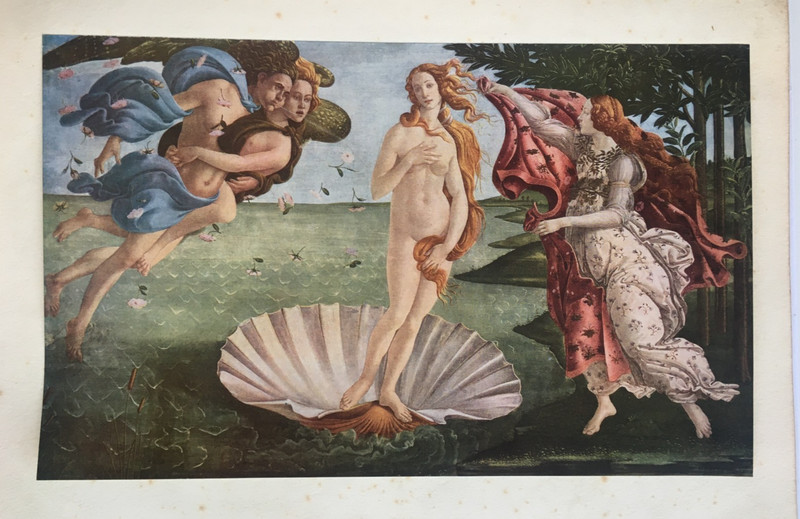 The Birth of Venus by Sandro Botticelli Antique Print 1934 gallery