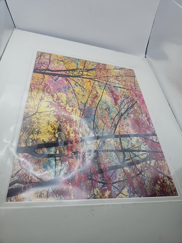 Don Ament Multiple Choice Signed Print