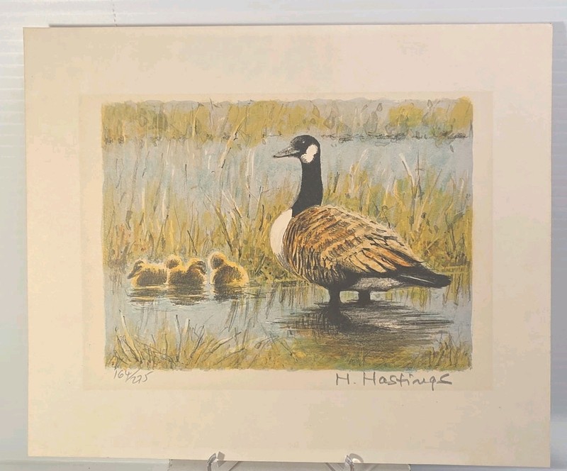 Canada Goose Art Print, Unframed, H. Hastings Signed Numbered 164 / 275