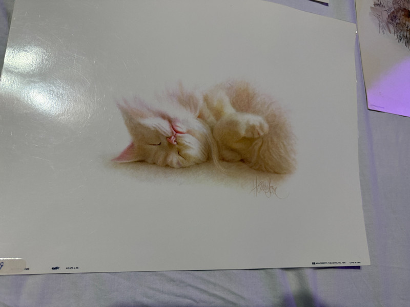 Vintage Lot of 6 Laminated Art Prints 1970s 80s Classroom Pets Animals Harrison gallery