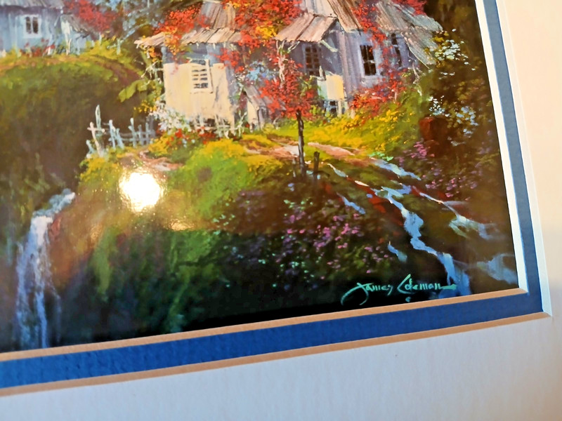 JAMES COLEMAN LIVING ALOHA PRINT SIGNED gallery
