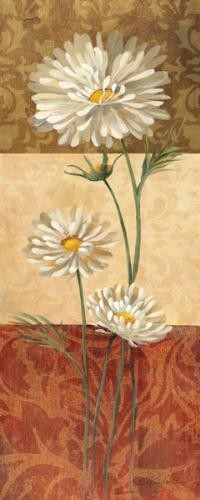 Silvia Vassileva Cosmos And Squares NO LONGER IN PRINT – LAST ONE!!