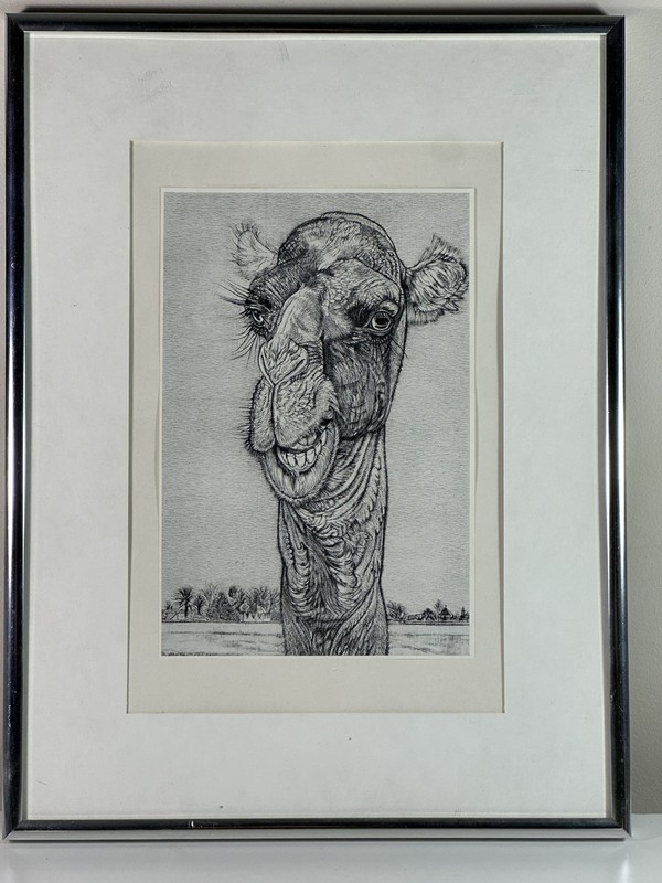 Framed Portrait of an Arabian Camel After Original 1939 Eduard Wiiralt Woodcut
