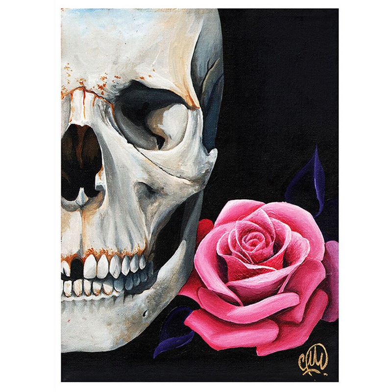 Pink Rose and Skull by Christina Ramos Art Print Anatomical Skeleton Head Poster