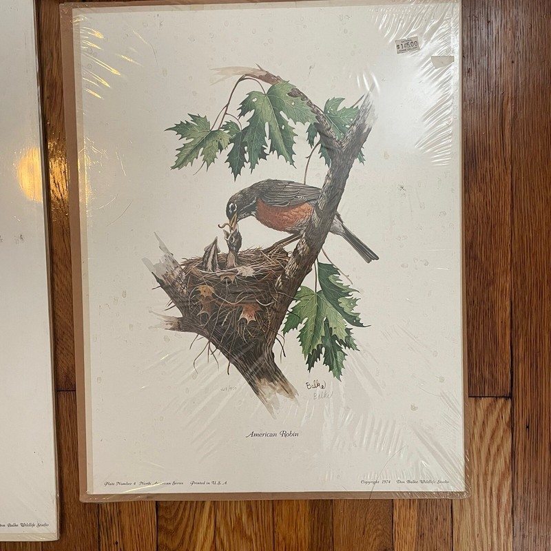 Balke Prints Lot of 4 1978 signed Snowy Owl Gray Squirrel Family American Robin gallery