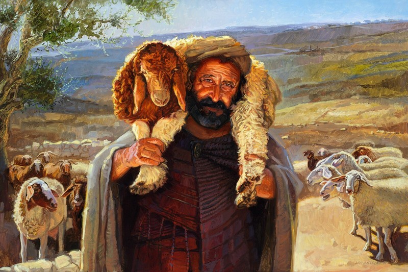 The parable of the lost sheep - Luke 15:5 - ULTRA PREMIUM SATIN 8X10"