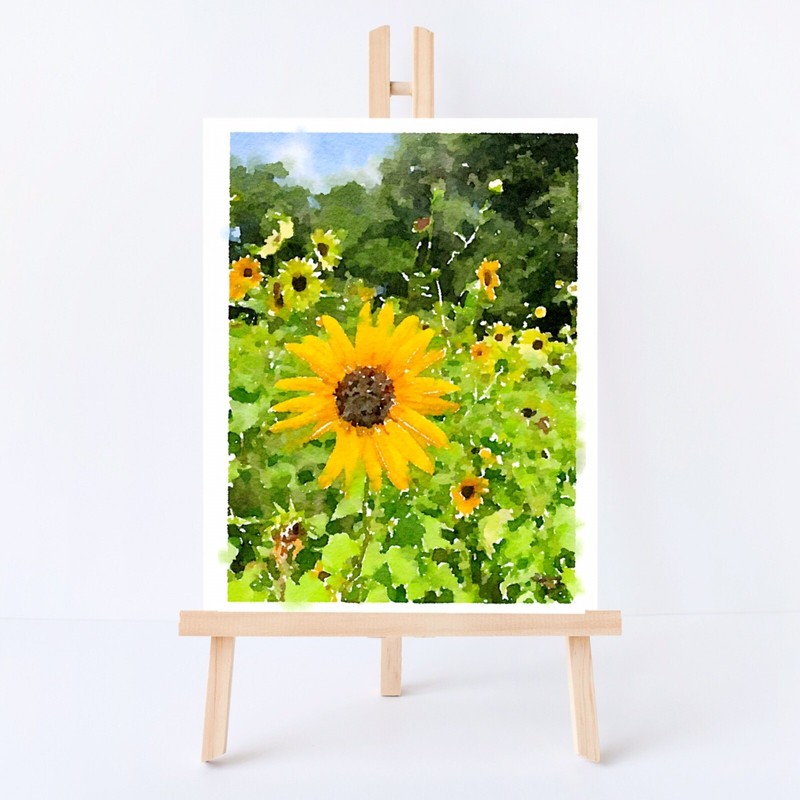 ACEO ATC Art Card Watercolor Print Signed Floral Sunflowers Flower Garden gallery