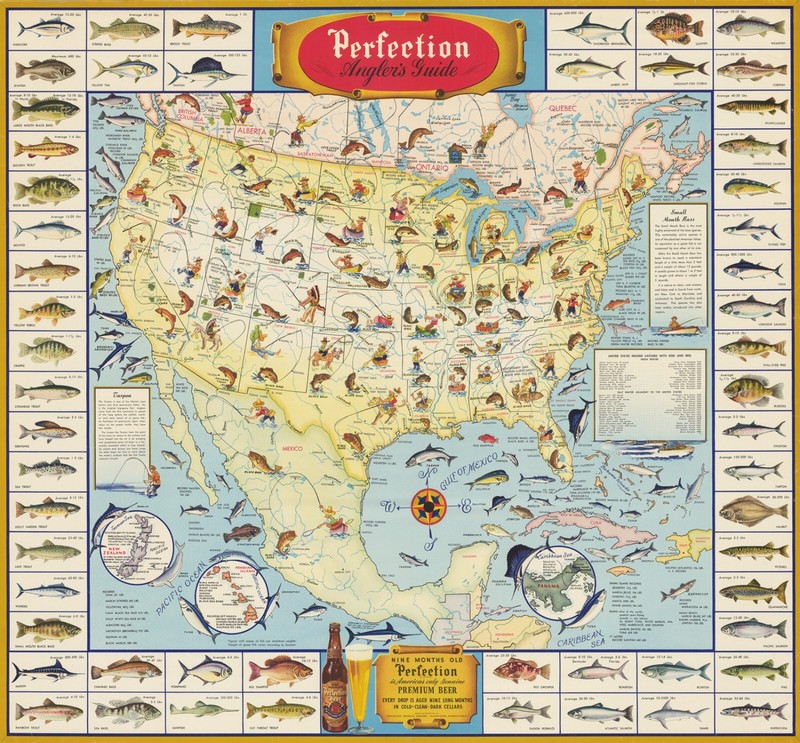 Fish Map Anglers Guide Advertising Poster Repro Bait Tackle Fishing Gifts Print