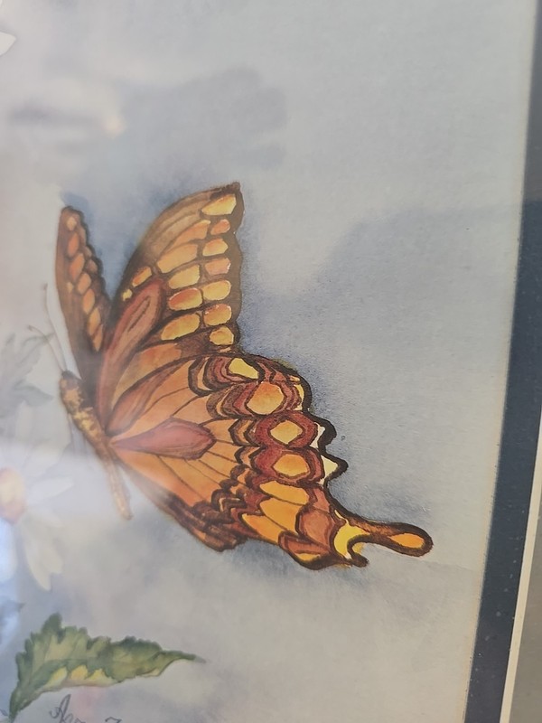Gold Framed Matte Ava Freeman Butterfly Daisys Art Print Signed 15 1/2 x18 1/2 gallery