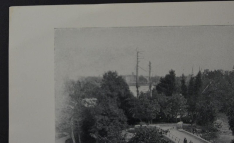 Antique Niagara Falls New York Art Print Luna Island Bridge Original B&W 1910 gallery