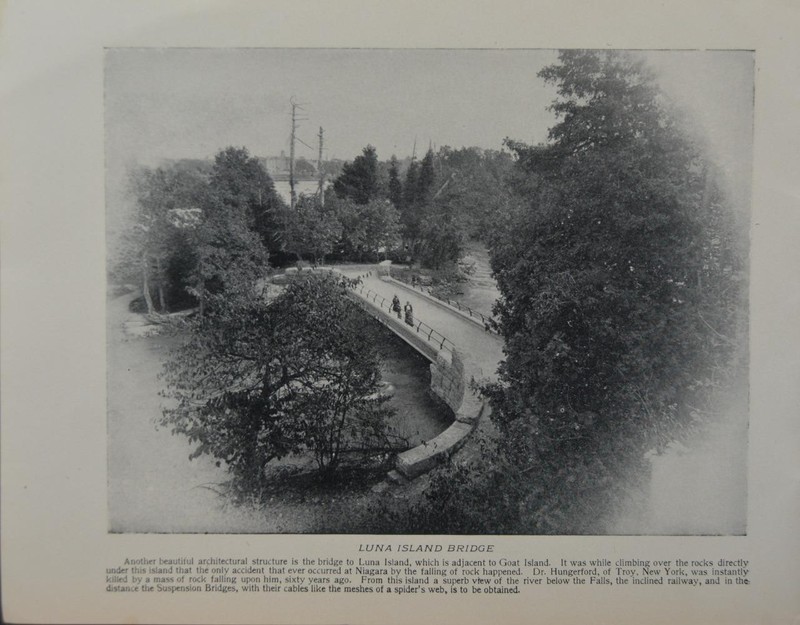 Antique Niagara Falls New York Art Print Luna Island Bridge Original B&W 1910