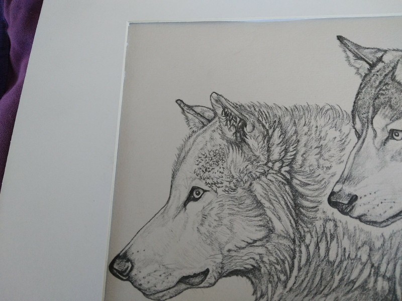WOLVES HEADS SKETCHED GRAPHITE PENCIL ART Sandra Johansson signed 186/200 B2 gallery