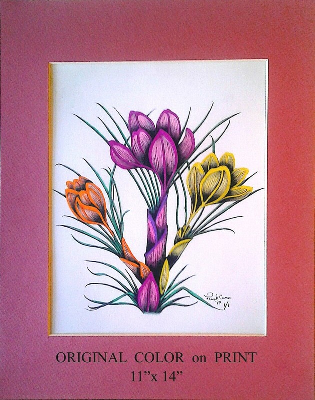 COOKS ART GALLERY SUMMER FLOWERS ORIGINAL 1/1 COLOR ON PRINT 11×14 MATTED