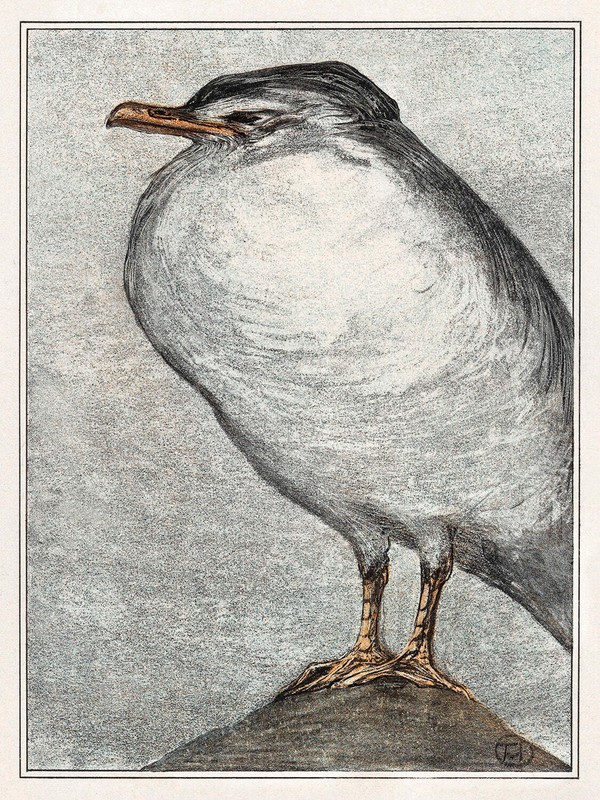 Zilvermeeuw by Theo van Hoytema Art Print
