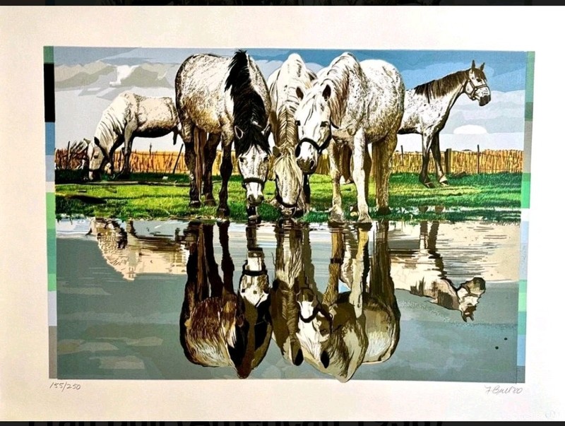 Fran Bull "Horses of the Camargue" 1980 Hand Signed Silkscreen Photorealism Art