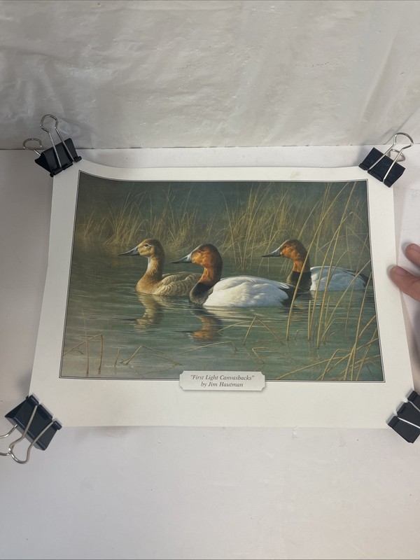 2 Duck Prints Afternoon Pintails R. Clifton + First Light Canvasbacks J. Hautman