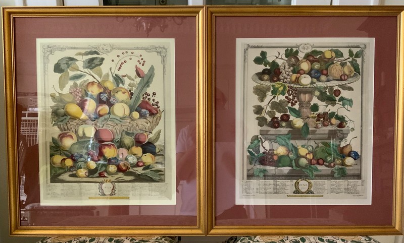 COLONIAL WILLIAMSBURG HAND COLORED FURBER FRUIT PRINTS / JUNE & JULY DIETZ PRESS