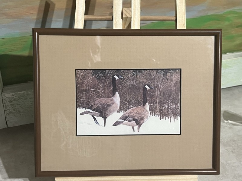 Framed Canada Goose Wildlife Print Snow Marsh Bird Nature Wall Art 8×10
