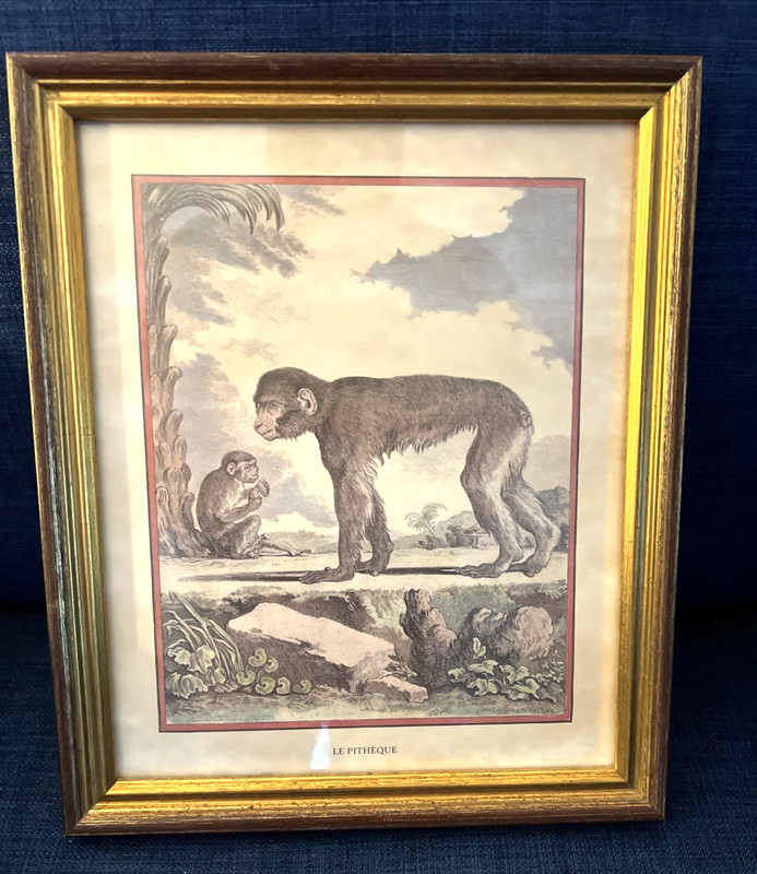Jacques Eustache de Seve Monkey Etching Print Le Pitheque Money & Baby Antique