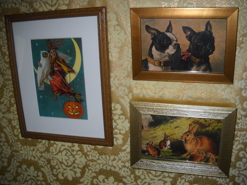 CATS FROLIC AT THE BEACH 4 X 6 gold framed print Vintage style animal picture gallery