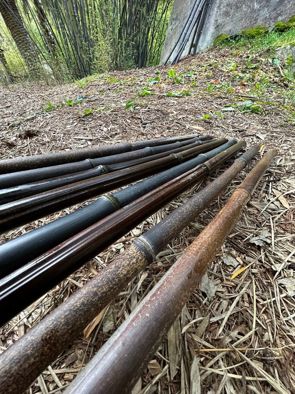 Black Bamboo Cane, Stick, Pole 6 feet - 10 Pack Bundle