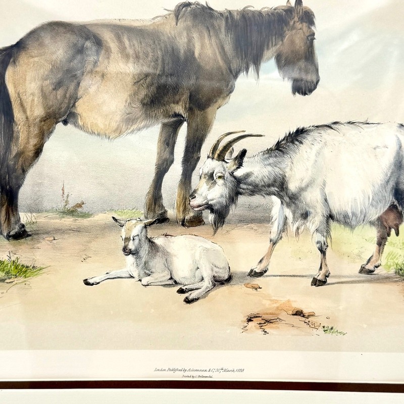 Thomas Sidney Cooper Art Print 24x20 Paper Antique Litho Horse Goats 1839