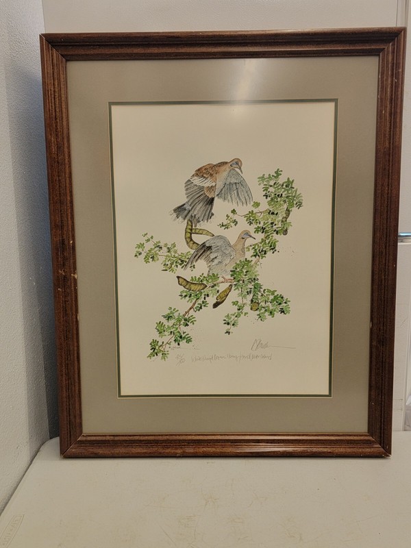 45/100 White Mourning Doves Hand Watercolor Piece by A. Breed.