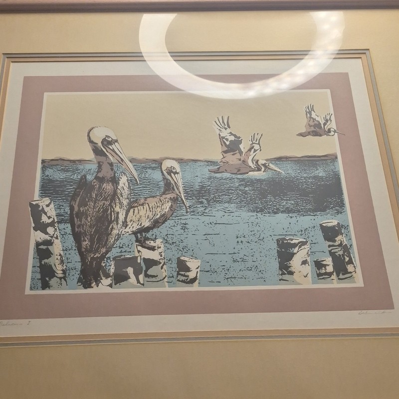 Matted & Framed Pelicans Birds Print Nature Art Landscape Schneider Paper