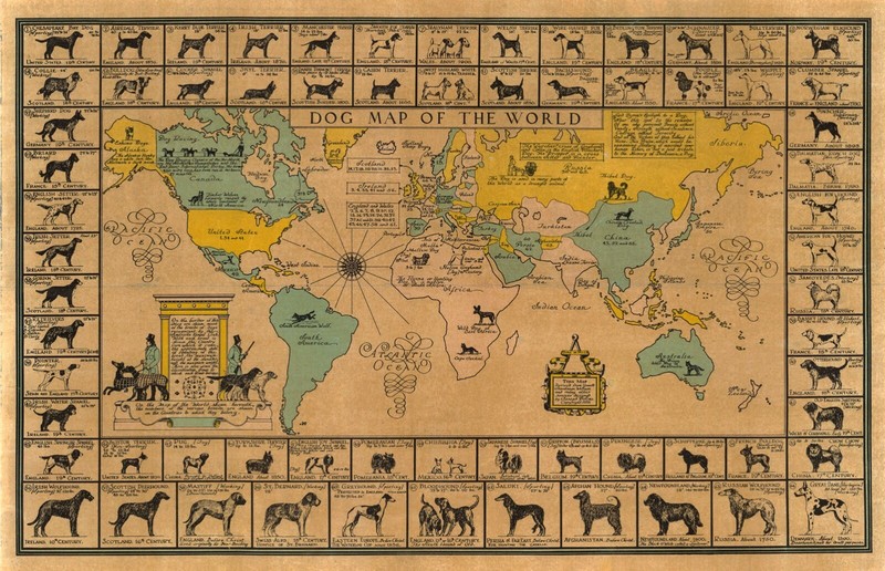 Early Pictorial Dog Map of the World American Kennel Club Wall Art Poster Dogs