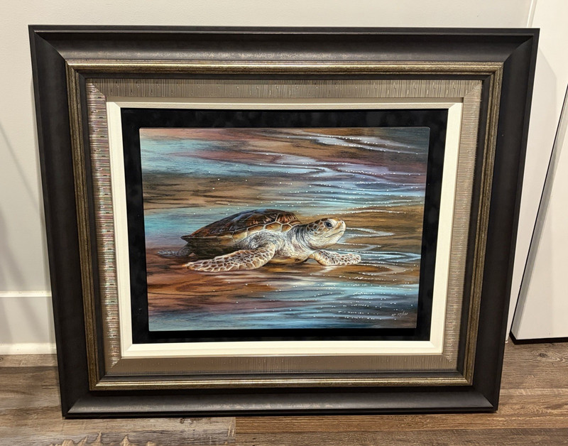 NEW Matt Beyrer Slow and Steady 2023 Sea Turtle Caldograph Print Framed 15×20