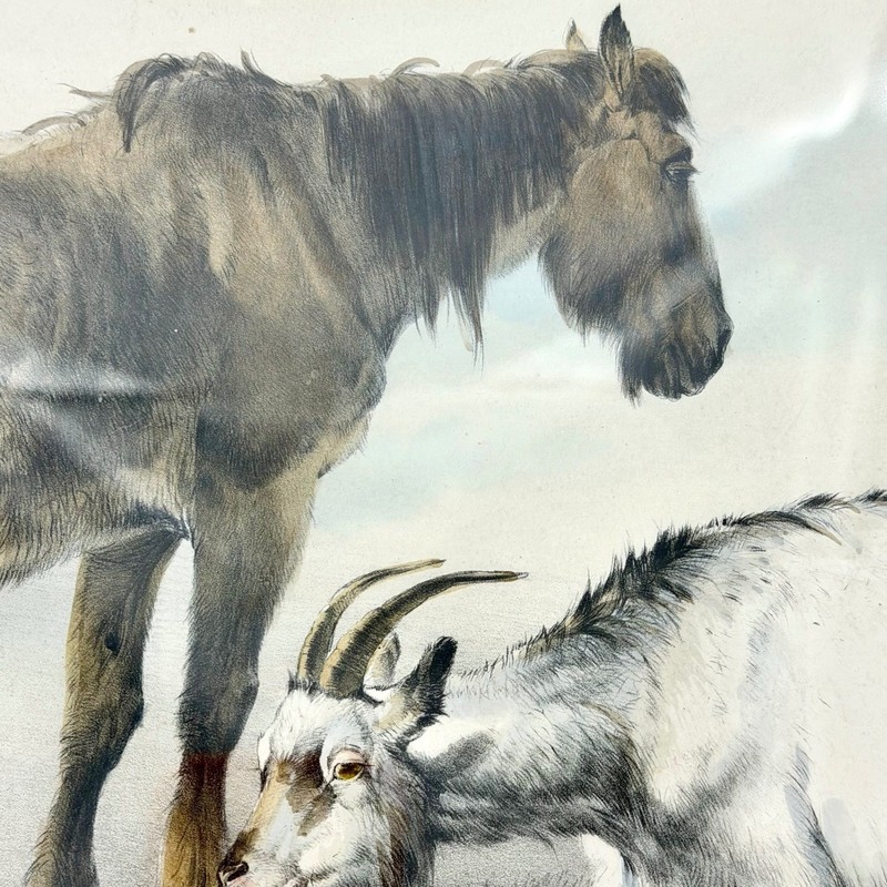 Thomas Sidney Cooper Art Print 24x20 Paper Antique Litho Horse Goats 1839 gallery