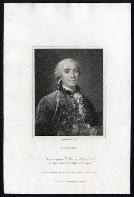 Antique Print-PORTRAIT-COMTE DE BUFFON-GEORGES LOUIS LECLERC-Hart-Drouais-1850