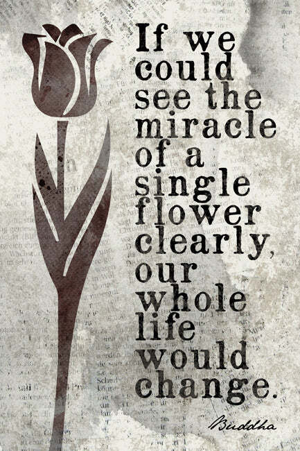 If We Could See The Miracle (Buddha Quote), mindfulness meditation art print