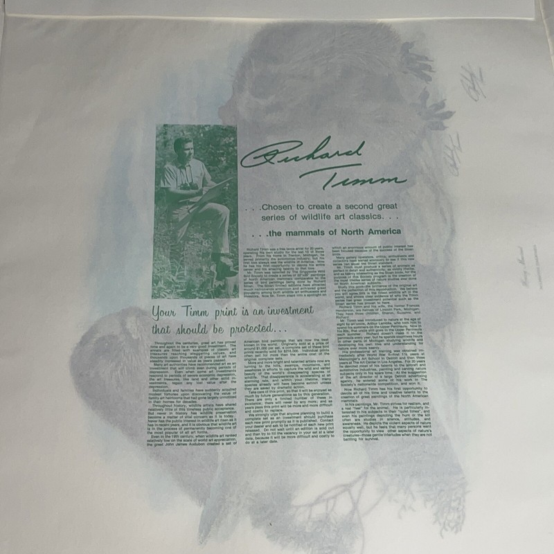 Fine Art Lithograph: Richard Timm - Hoary Marmot - Signed And Registered 22x 28 gallery