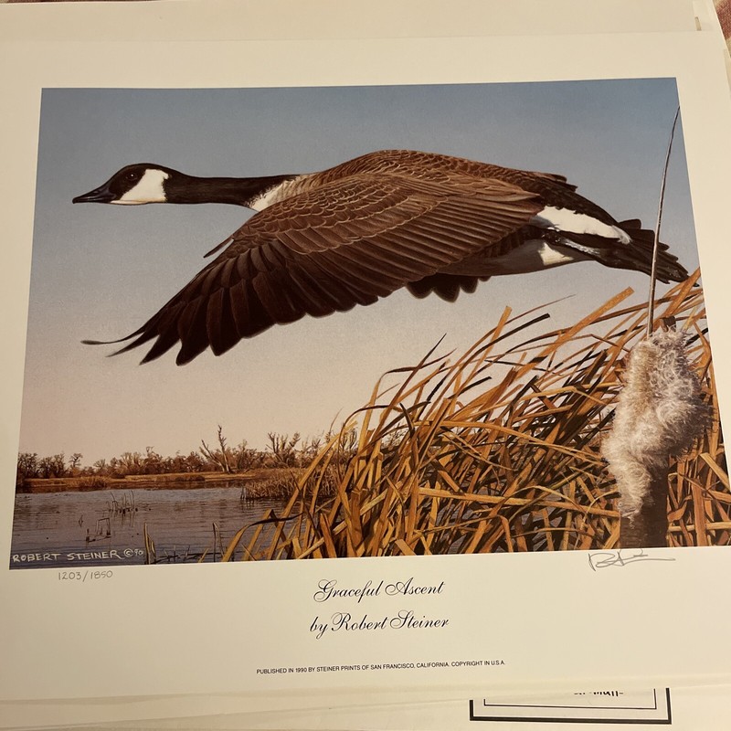 Graceful Ascent print by Robert Steiner LE 1203/1850