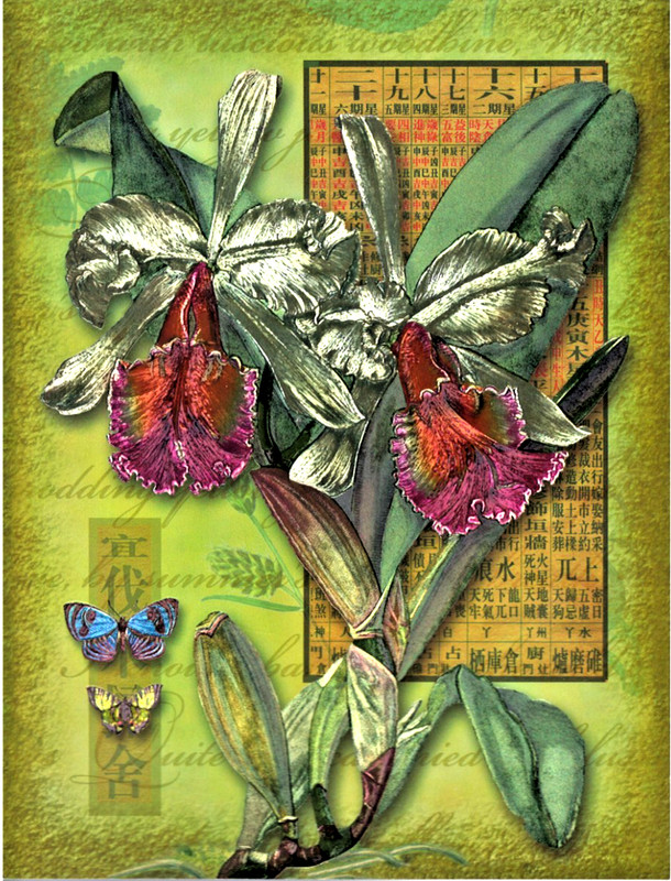 DUFEX FOIL PRINT «WHITE ORCHIDS WITH BUTTERFLIES» ~(RARE)~ **MADE IN ENGLAND**#5