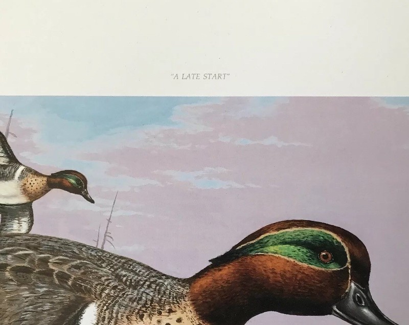 Bob Sopchick “A Late Start” Signed Print 1991 Green-Winged Teal Ducks Unlimited gallery