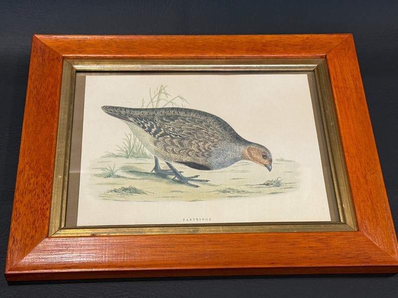 William Morris «Partridge» Lithograph Print, 9 3/4″ x 7 1/2″ (Image)