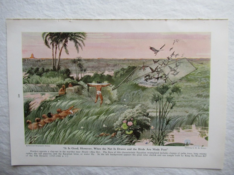 1941 Egyptian Bird Hunting Egypt Color Art Print 10x7" Painting by H.M Herget