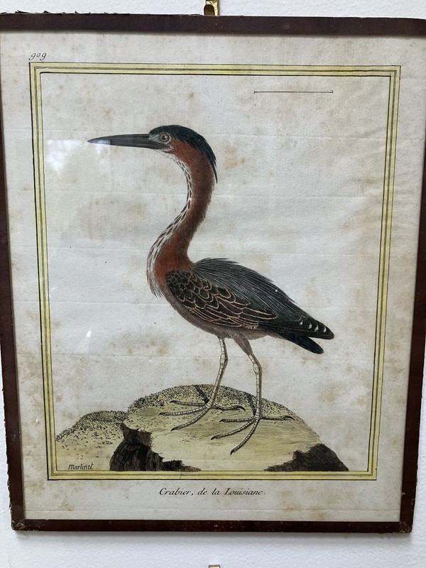 10 rare color engraving prints vintage by 18th century François Nicolas Martinet