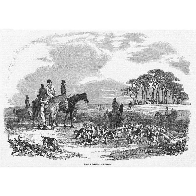 HARE HUNTING The Meet, Huntsmen and Hounds – Antique Print 1851