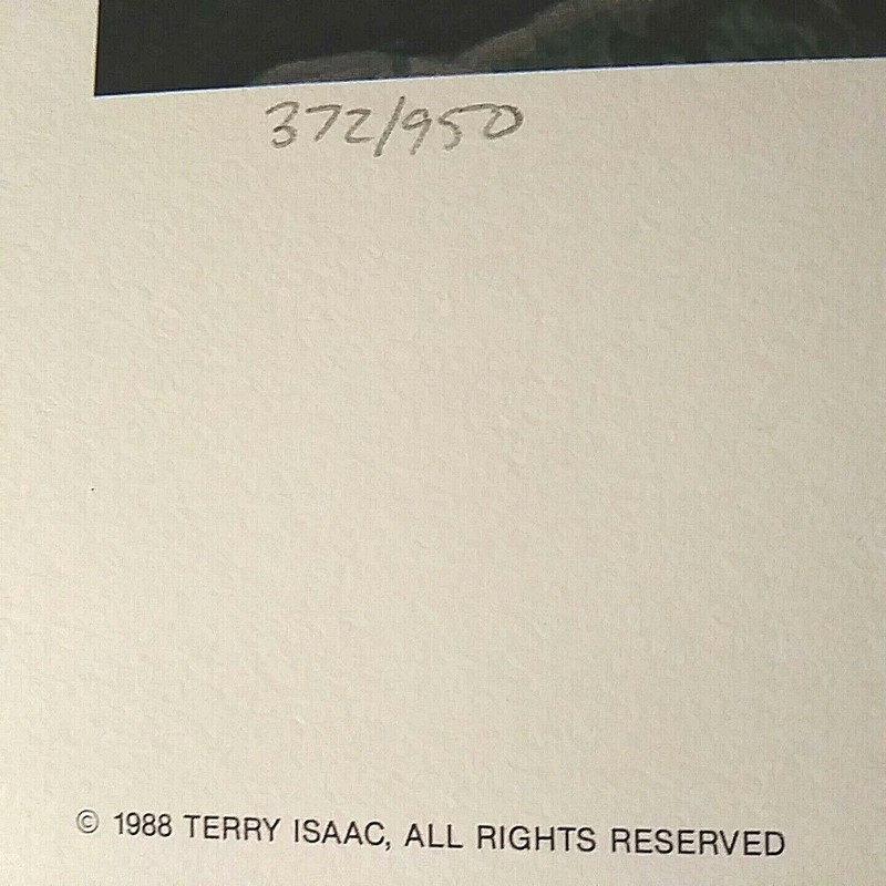 ISAAC "ON THE PRECIPICE" SPOTTED OWL, S/N LTD. ED. #372 19x24" 1988, MINT w/COA gallery